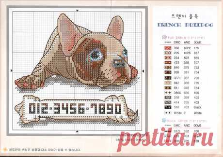 Пин на доске Cross Stitch Pattern