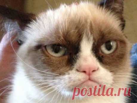 Как избавиться от беспокойства и повысить настроение: 5 полезных техник Негативные мысли — вирусы сознания, которые отравляют жизнь. Под их воздействием человек становится раздраженным, беспокойным и несчастным. Чтобы жить полной жизнью, важно научиться оптимизму.