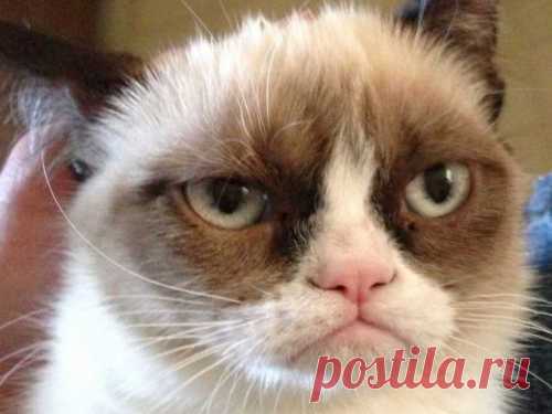 Как избавиться от беспокойства и повысить настроение: 5 полезных техник Негативные мысли — вирусы сознания, которые отравляют жизнь. Под их воздействием человек становится раздраженным, беспокойным и несчастным. Чтобы жить полной жизнью, важно научиться оптимизму.