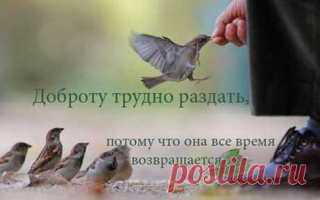 София Богомильская