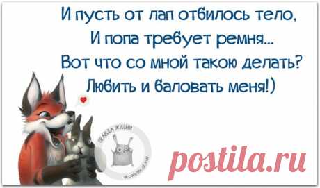 Позитивные фразочки в прикольных картинках. Всем отличного настроения!