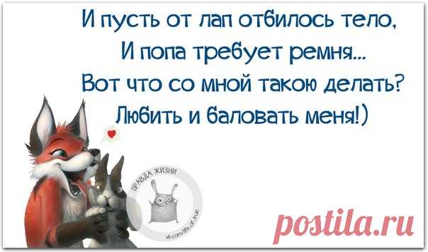 Позитивные фразочки в прикольных картинках. Всем отличного настроения!
