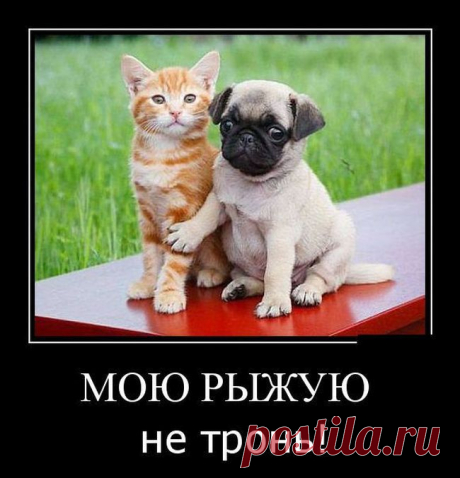 Во как
