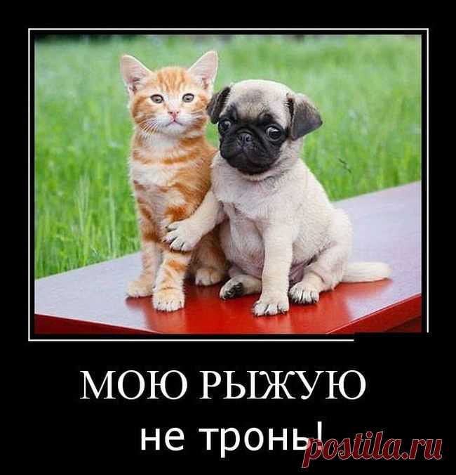Во как