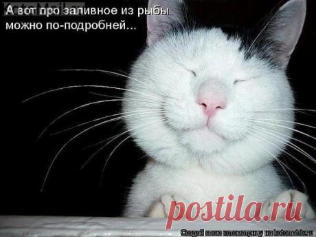 Можно поподробней