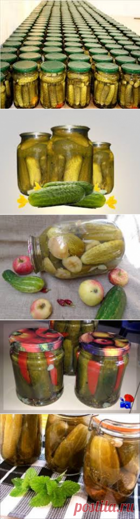 6 рецептов консервированных огурцов с аспирином - необычный вкус, приятный аромат упругие и хрустящие