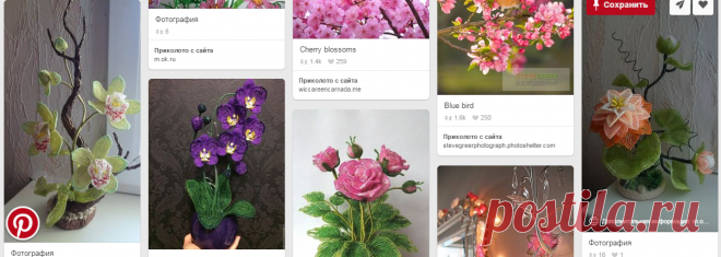 FLEURS ET FEUILLES в Pinterest