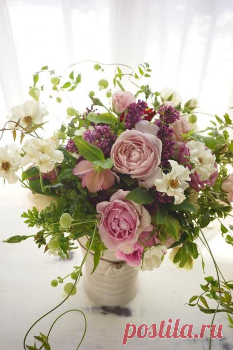 флористика