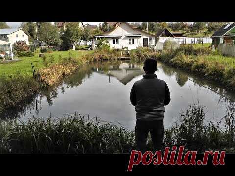 Щука в моём пруду живёт два - три года и потом ловлю - YouTube