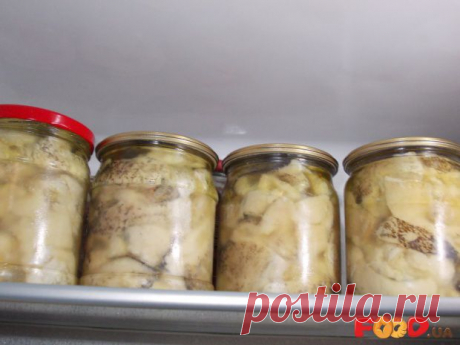 Заготовки з м'яса, птиці, риби, грибів - Кулинарные рецепты на Food.ua - Страница 7