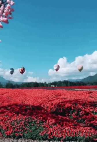 Сказочное место