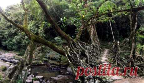 Угрожающие и экстремальные мосты / Туристический спутник