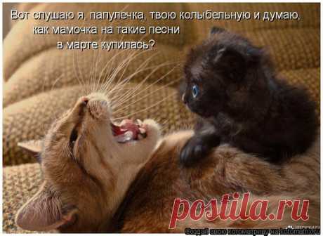 Книга мировых рекордов - Группы Мой Мир