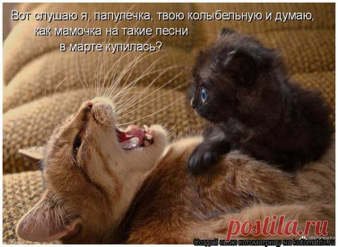 Книга мировых рекордов - Группы Мой Мир