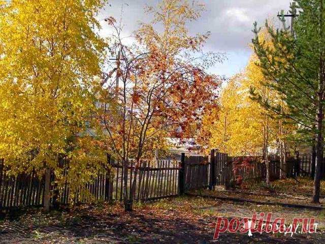 Вот и лето прошло, или осенние работы в саду и огороде
