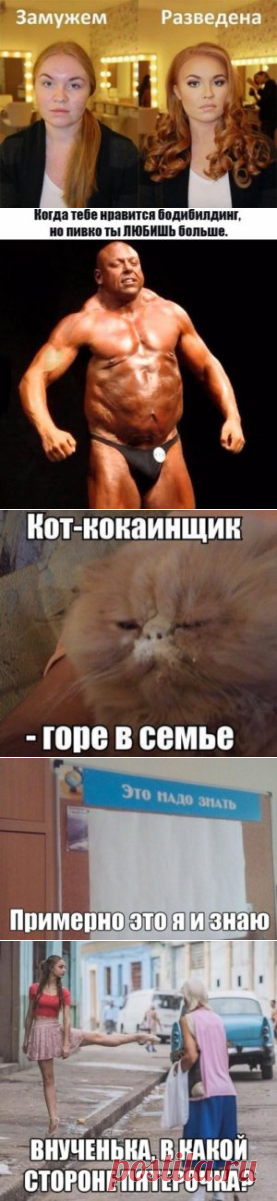 Новые мемы на Герой Рунета