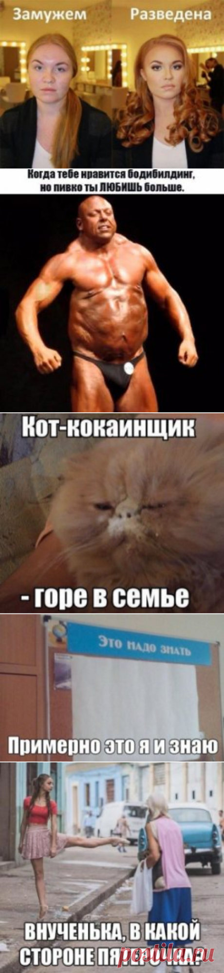 Новые мемы на Герой Рунета