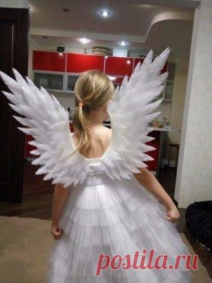 Мама сделала своими руками. Потрясные крылья!