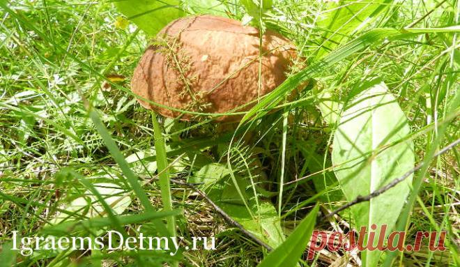 Игры про природу для детей