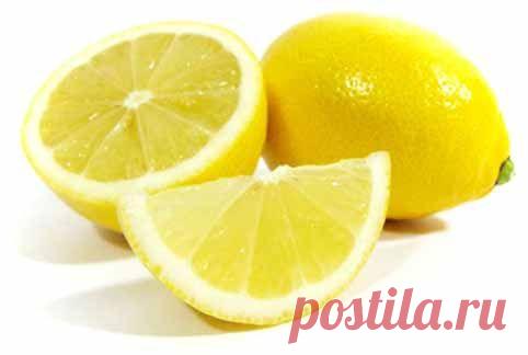 Медовуха в домашних условиях «от которой ноги не ходят…»