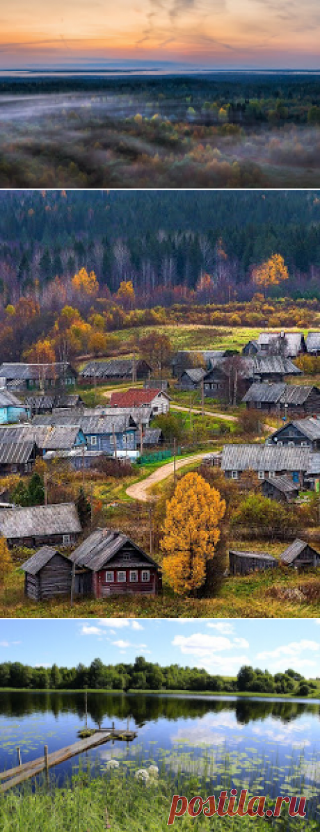 Тихой тропочкой в заповедный Вепсский лес