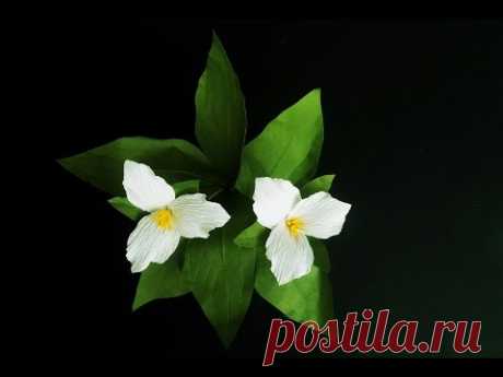 How To Make Trillium Paper Flowers - Craft Tutorial