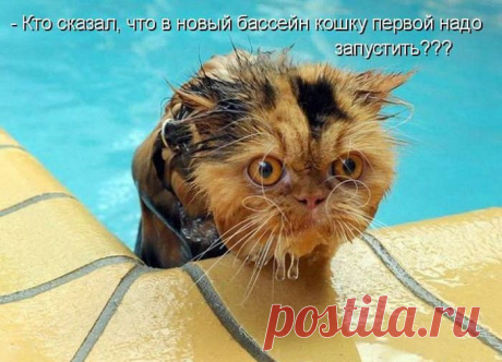 Мысли вслух