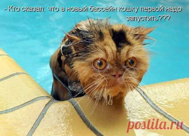 Мысли вслух