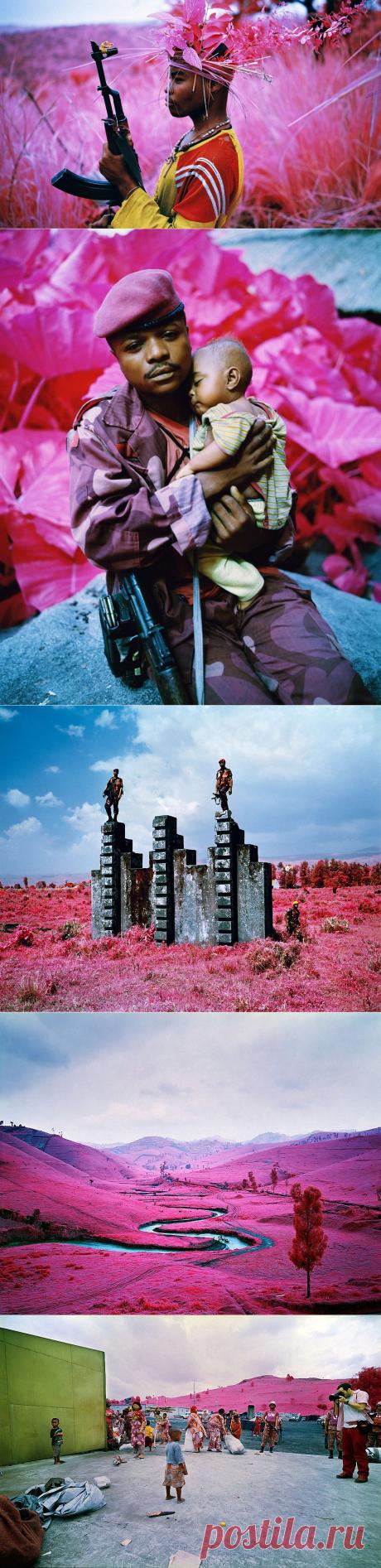 Пурпурный цвет войны. Фотограф Ричард Мосс (Richard Mosse) - Фотоискусство