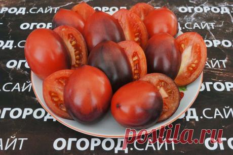 Томат Клубничный водопад (Софии Сааковой), семена | ОГОРОД.сайт