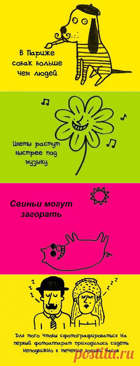ИНТЕРЕСНЫЕ ФАКТЫ В КАРТИНКАХ....