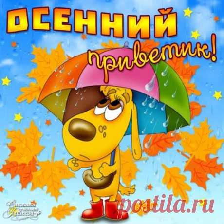 Смешные картинки Доброго осеннего утра и хорошего дня прикольные 24 фото