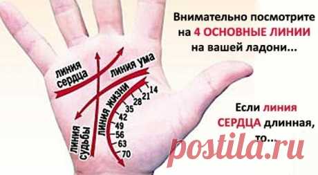 Как читать линии на руках Для начала определите ту руку, какую необходимо изучать