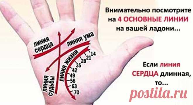 Как читать линии на руках Для начала определите ту руку, какую необходимо изучать
