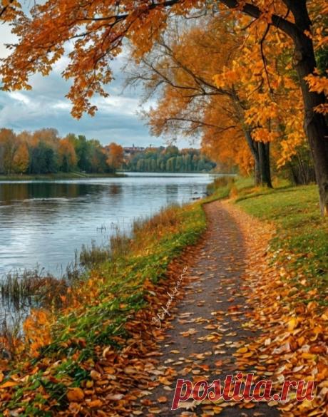 Плеснула осень из палитры ~ Стихи (Лирика пейзажная)