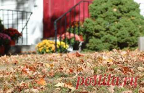 15 серьёзных ошибок, которые нельзя допустить осенью в саду От того, как сад будет подготовлен к зиме, во многом зависит и его здоровье, и его плодовитость, и даже его долголетие. А то, что мы сделаем на грядках осенью, принесет свои плоды уже в начале следующей весны. Поэтому нужно постараться все работы провести по правилам и завершить сезон так, чтобы в с