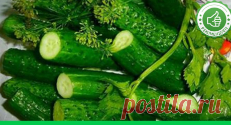 Малосольные огурцы хрустящие: Самый простой и быстрый рецепт малосольных огурчиков - Супер шеф