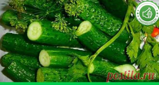 Малосольные огурцы хрустящие: Самый простой и быстрый рецепт малосольных огурчиков - Супер шеф