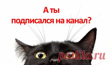 Поцарапали машину на парковке: что делать? | Роскачество | Дзен