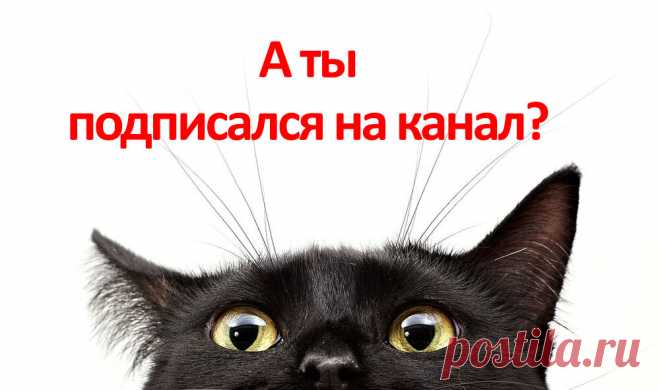 Поцарапали машину на парковке: что делать? | Роскачество | Дзен