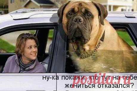 Интересные новости