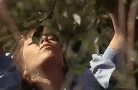 18415659.gif (500×328)