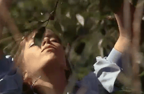 18415659.gif (500×328)