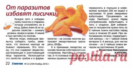 От паразитов избавят лисички