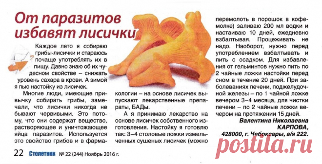 От паразитов избавят лисички