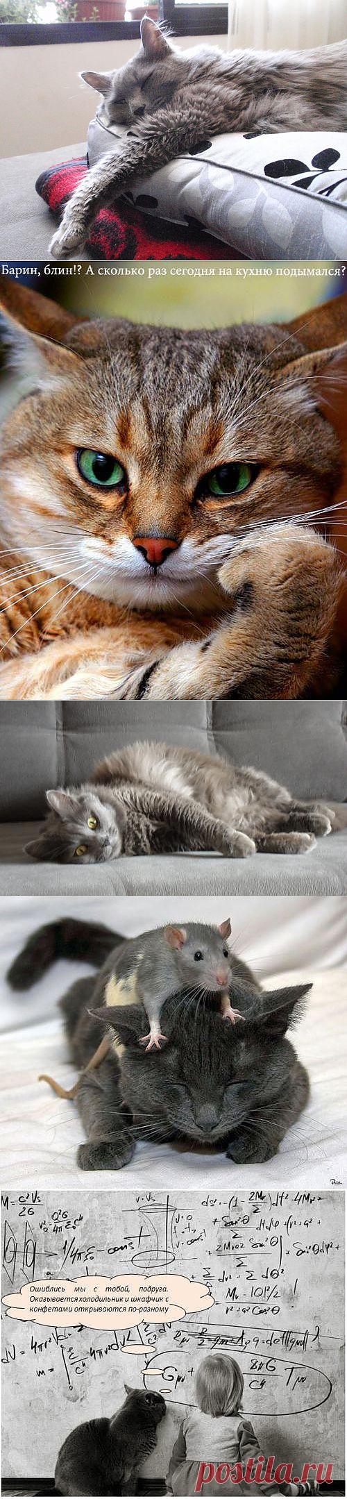 Традиция - дело святое!