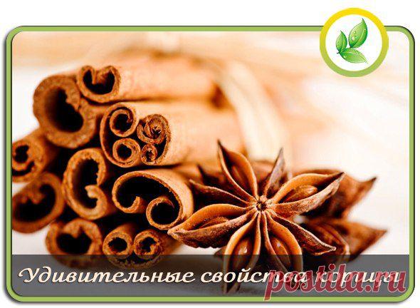 УДИВИТЕЛЬНЫЕ СВОЙСТВА КОРИЦЫ