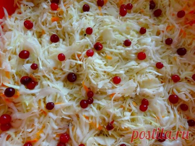 Капустка в пакете