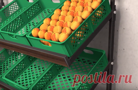 Полезные советы по выбору торгового оборудования Мало кто знает тот факт что пред тем как приобрести оборудование для магазина важно взять во внимание такие моменты. И в данной статье, мы хотим дать  некоторые рекомендации частным предпринимателем которые хотят начать свой новый бизнес и купить   нужное оборудование на сайте.

Итак, что нужно ва