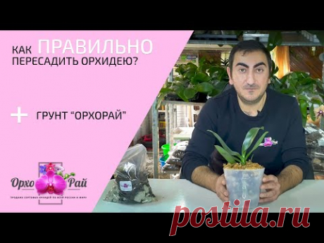Как ПРАВИЛЬНО пересадить орхидею | грунт "ОрхоРай" для орхидей